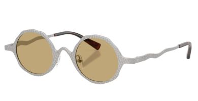 Sunčane naočale EMPORIO ARMANI EA2166 30152 41