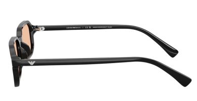 SUNČANE NAOČALE EMPORIO ARMANI EA4253 501793 54