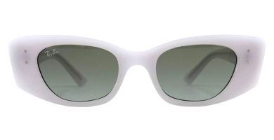 Sunčane naočale RAY BAN RB4427 675911 49